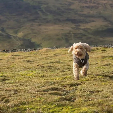 1 Bed In Reeth Oc-T29540 *